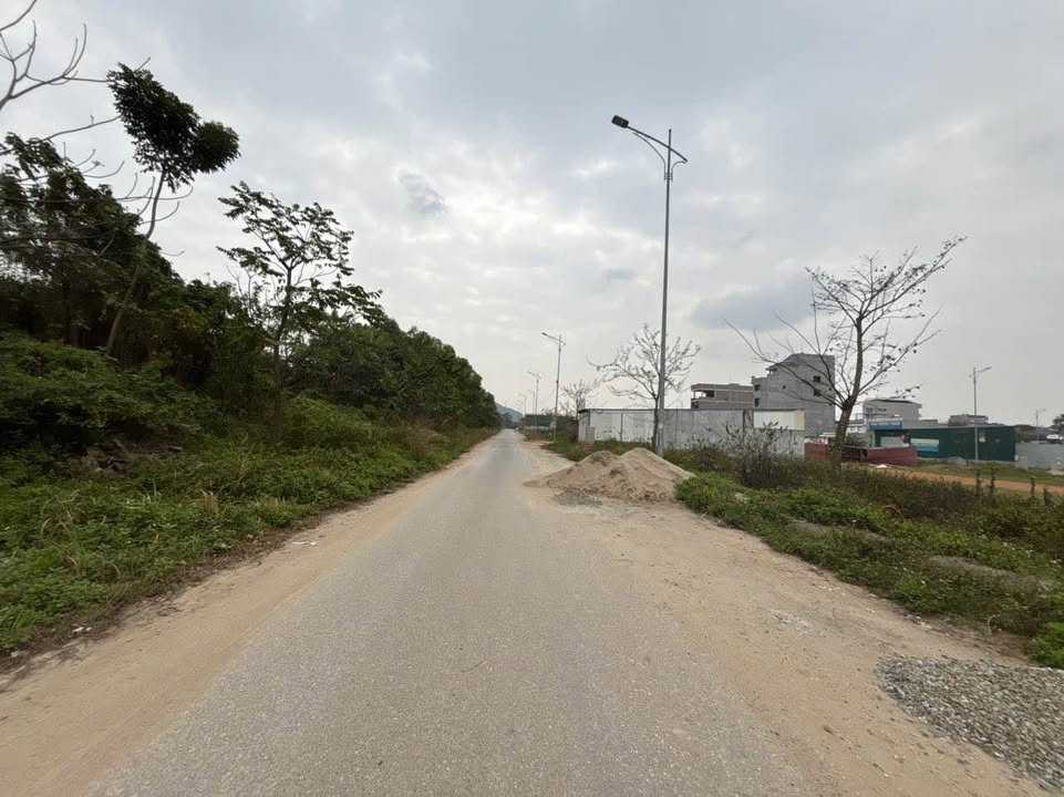 Nhà phố Hán Lữ Bình Xuyên 100m² – Mặt tiền kinh doanh đắc địa!