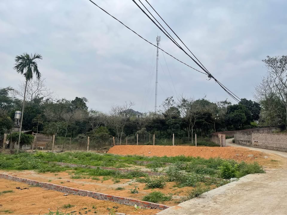 Đất nền Hoàng Hoa Tam Dương 95m² - Sổ đỏ chính chủ, đường ô tô!