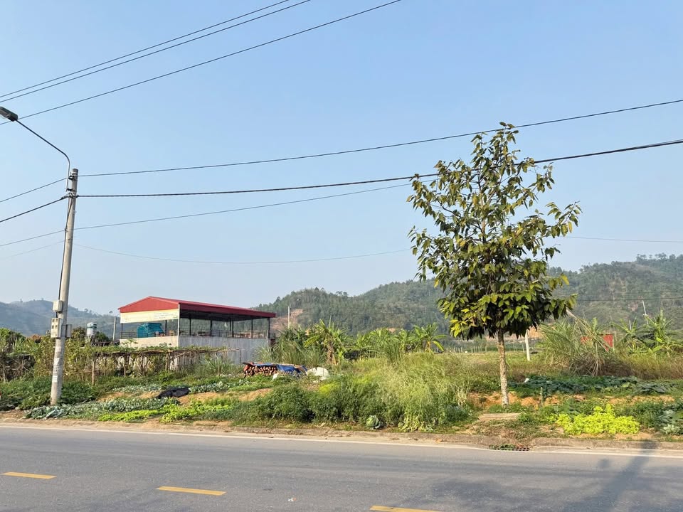 Bán Nhanh Đất Tái Định Cư An Tiến, Bảo Thắng 150m² - Giá Rẻ Hơn Thị Trường 100 Triệu