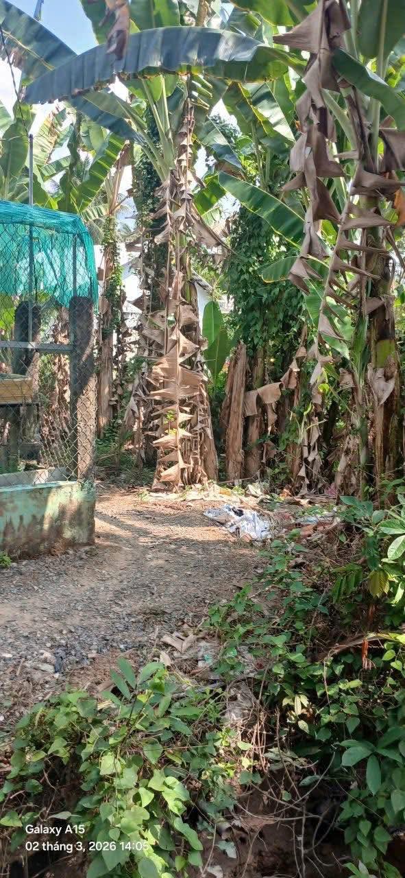 Đất Trung An 81m² - Sổ đỏ sẵn, Giá 180 triệu - Cơ hội đầu tư tốt