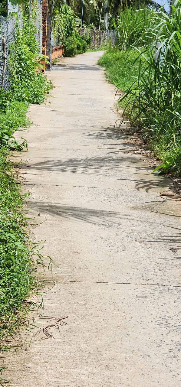 Đất nền Chợ Lách Bến Tre 9494m² giá 7.121 tỷ - Pháp lý rõ ràng!