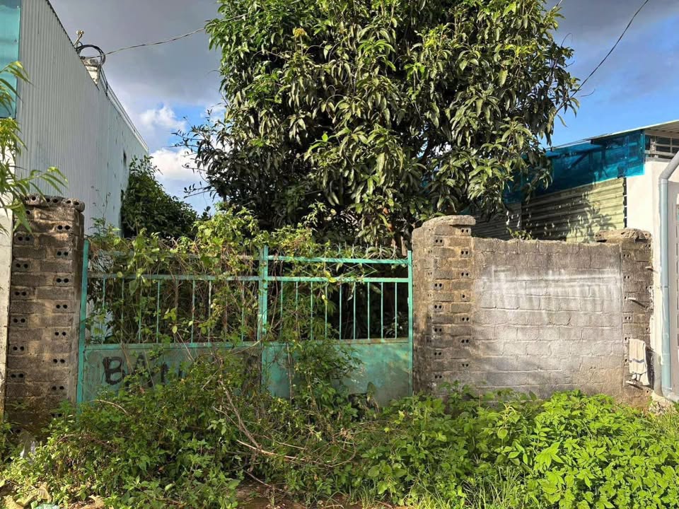 Đất Nền An Phú Pleiku 150m² Giá 8xx Triệu - Sổ Đỏ Vuông Vắn