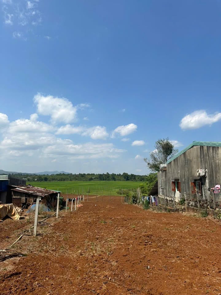 Đất mặt tiền Văn Cao Pleiku 510m² giá 1.7 tỷ - Nghỉ dưỡng lý tưởng!