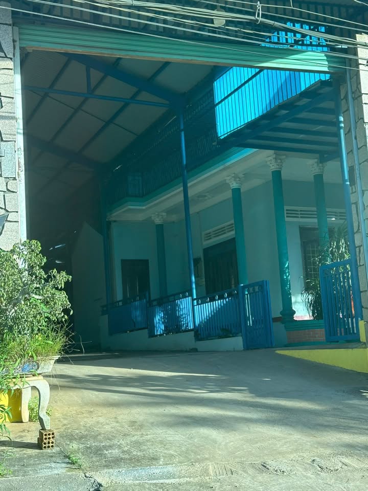 Đất nền Pleiku Lê Đại Hành 555m² - Đất thổ cư 100%