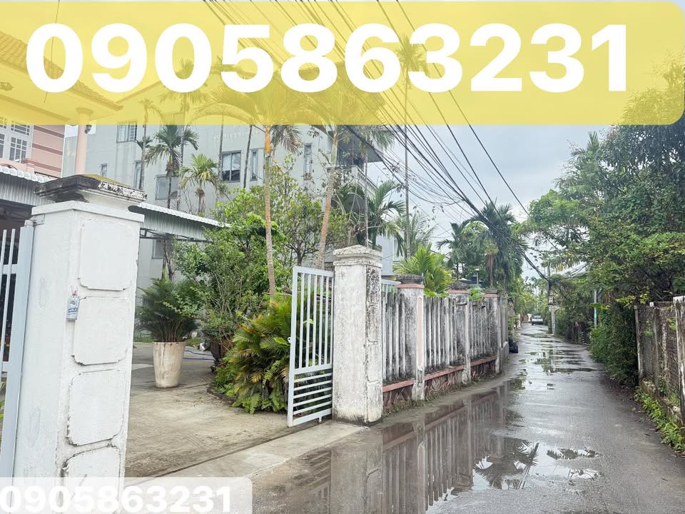 Đất nền Cẩm Thanh Thôn 5 156m² 4 tỷ - Tiềm năng tăng giá