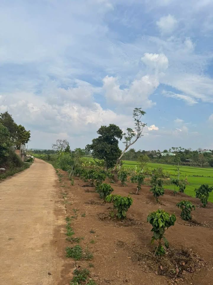 Đất nền đầu tư Pleiku 132m² - Sổ đỏ thổ cư, giá chỉ từ 5xx triệu