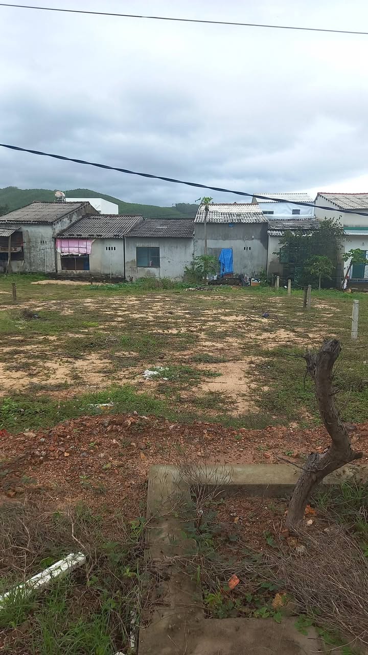 Đất Biển Hoài Hải, Bình Định - 300m² Sổ Đỏ Riêng, Liền Kề Biển