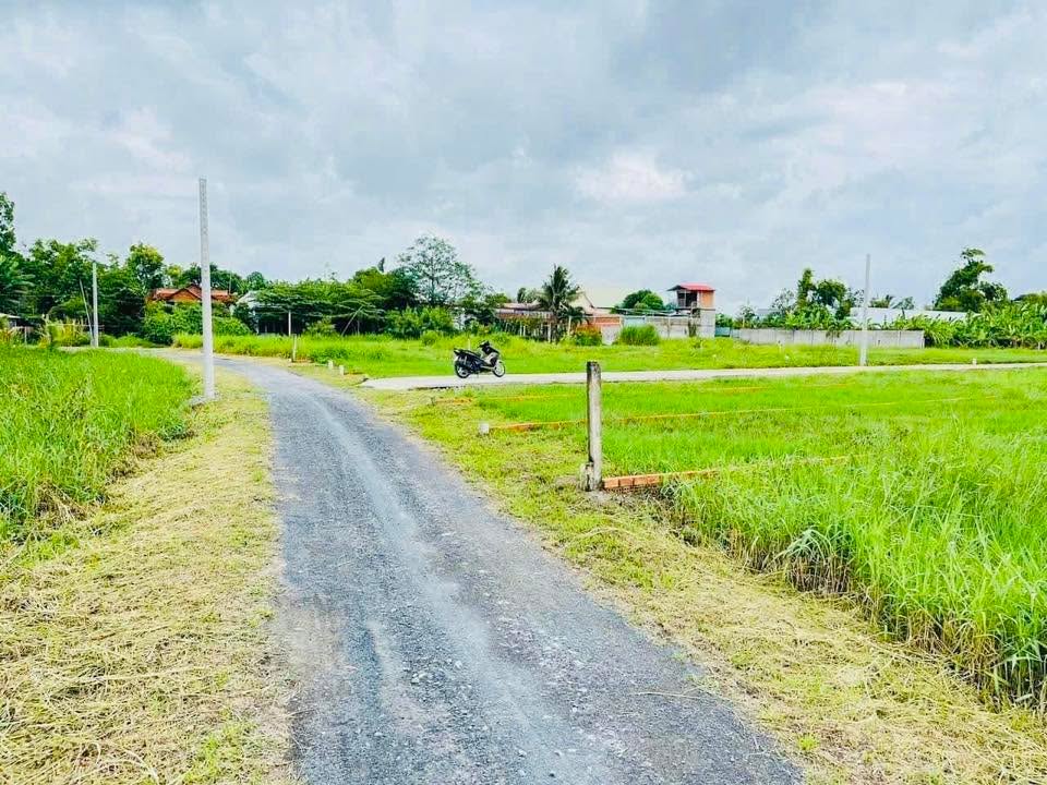 Nền Đất Thổ Cần Giuộc 300m² - Sổ đỏ chính chủ, xây dựng ngay!