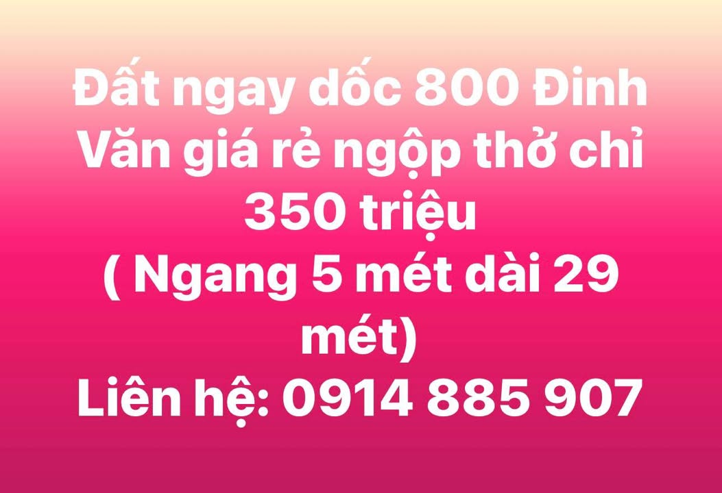 Bán Đất Đinh Văn Đức Trọng 145m² - Giá Rẻ 350 Triệu, Sổ Đỏ Sẵn Sàng