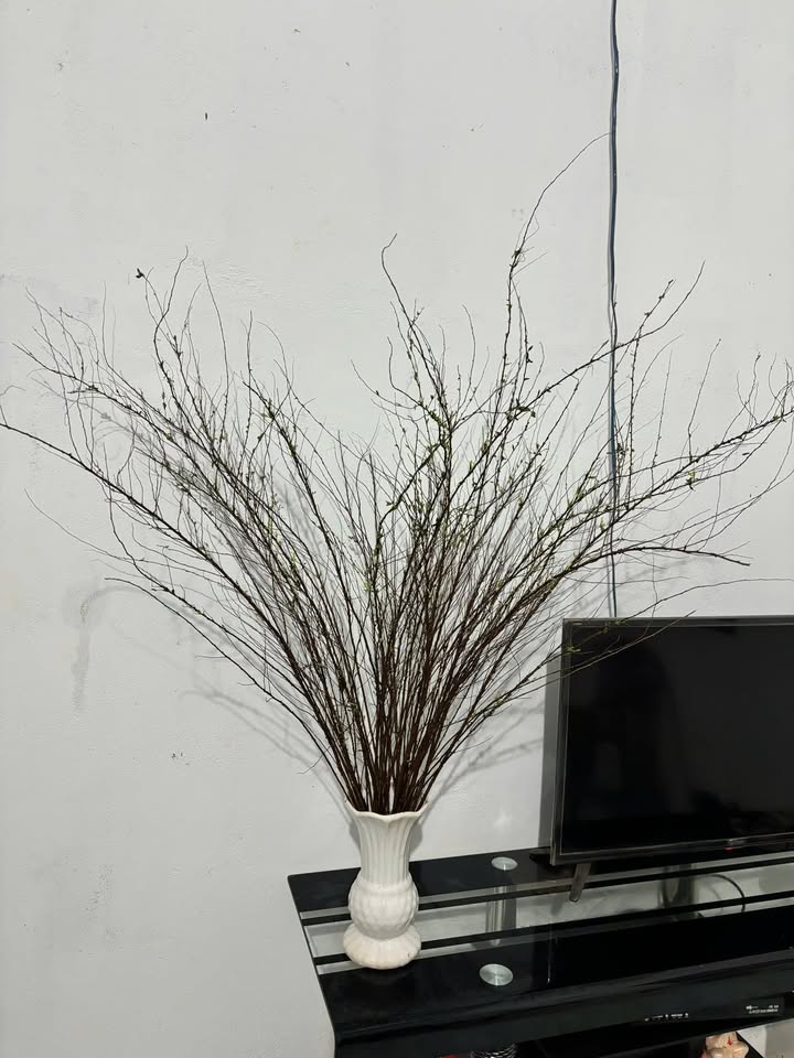 Đất nền Xã Lộc Phú Dầu Tiếng 1440m² giá 700 triệu - Hạ tầng hoàn thiện