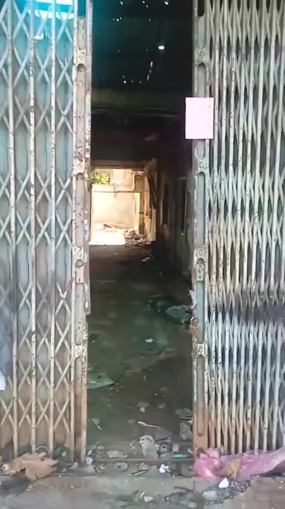 Đất nền Đường Tô Ký Hóc Môn 247m² - Tiềm năng tăng giá vượt trội!