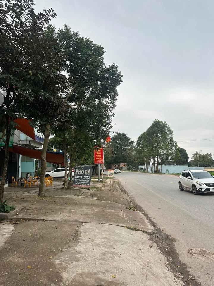 Đất Nền Mặt Tiền QL17, Tân Yên - 72m², 2 Tỷ, Kinh Doanh Đa Lợi Thế