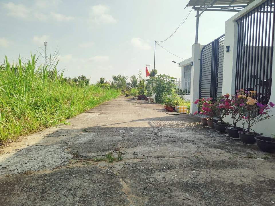 Bán Đất Bình Phú Bến Tre 204m² - Sổ Đỏ Thổ Cư, Giá 800 Triệu