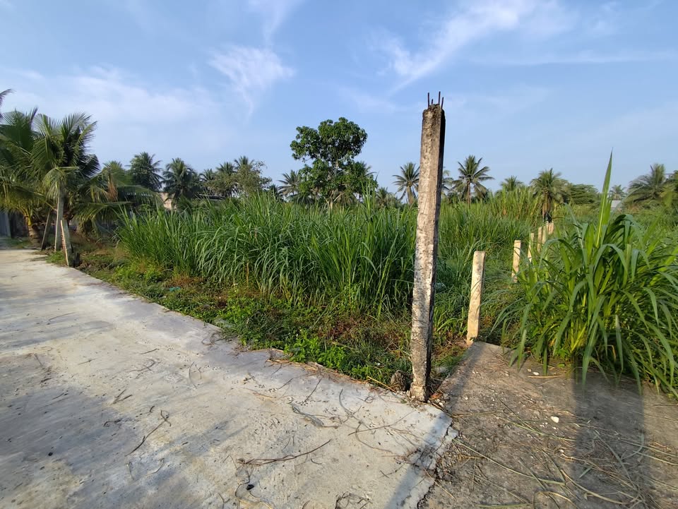 Bán Gấp 2 Nền Đất Liền Kề 200m² Thổ Cư - Ấp Giáp Nước, Mỹ Tho