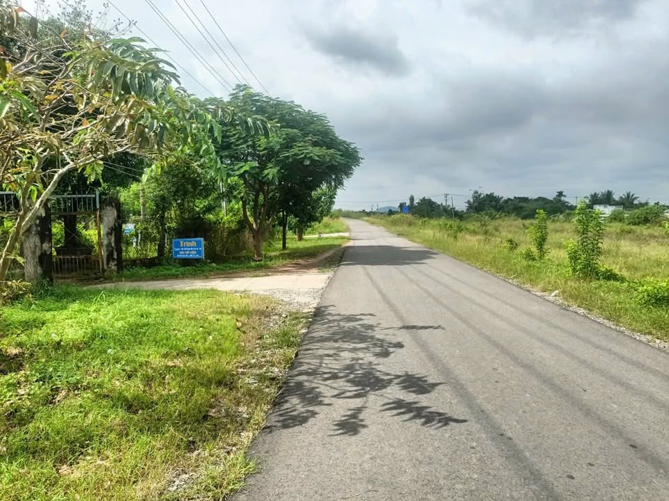 Đất Nền Hàm Thuận Bắc 1000m² - Sổ Hồng Sẵn Sàng - Giá Đầu Tư 320 Triệu