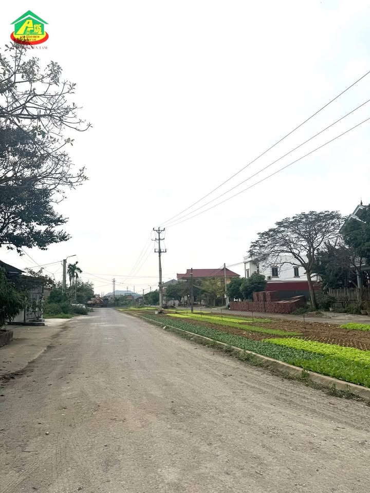 Đất Vàng 3 Mặt Tiền - 150m² Ninh Bình, Giá 4 Tỷ - Cơ Hội Đầu Tư