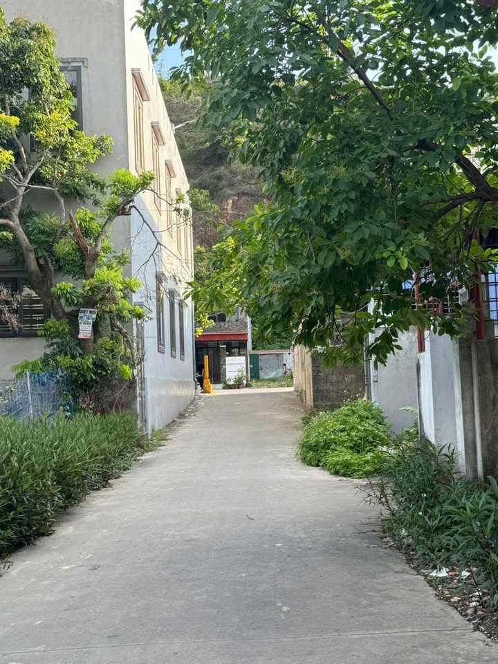 Đất nền An Lão, Hải Phòng 72m² - Sổ đỏ chính chủ, ngõ ô tô!