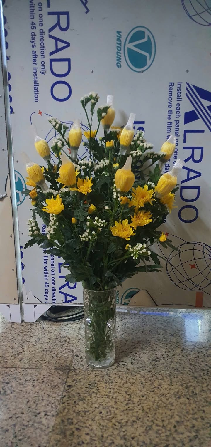 Đất nền Lê Văn Tú Quy Nhơn 66m² - Tiềm năng tăng giá vượt trội!