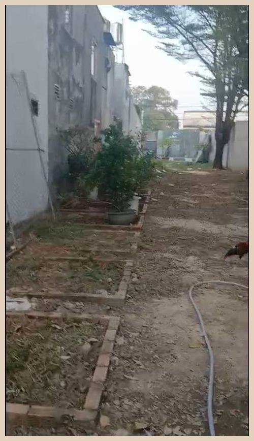 Bán Đất Hóc Môn 939m² - Sổ Riêng, Đường Xe Tải 12 Tỷ