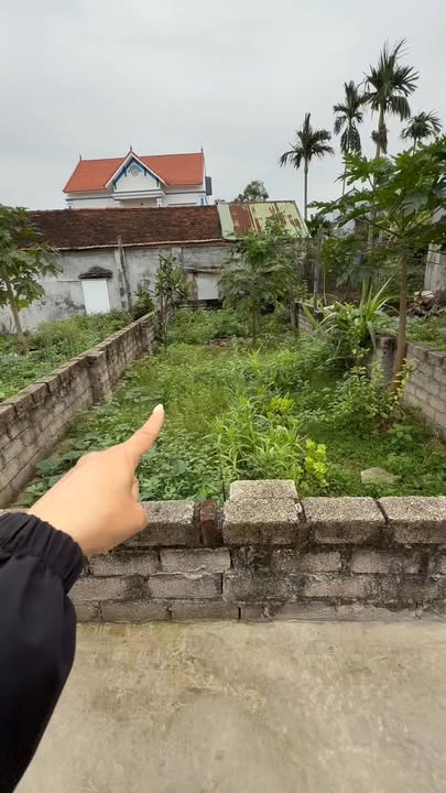 Đất nền Thanh Oai 57m² 3.1 tỷ - Sổ đỏ chính chủ