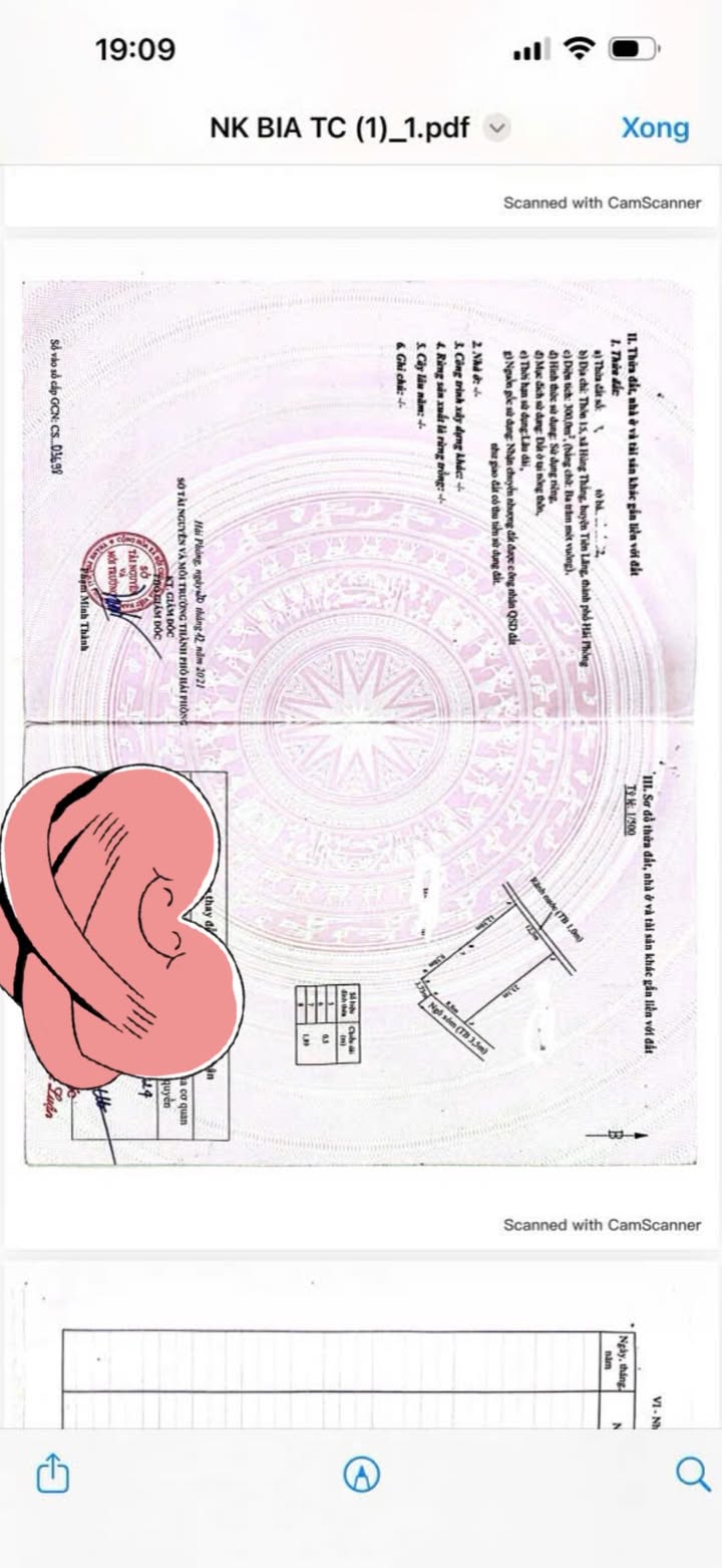 Đất nền Hùng Thắng 300m² - Sổ đỏ chính chủ, chia lô sinh lời!