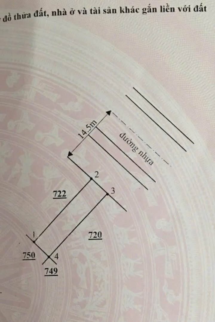 Đất nền 100m² mặt tiền đường nhựa Hàm Liêm, Bình Thuận - Giá 1.6 tỷ