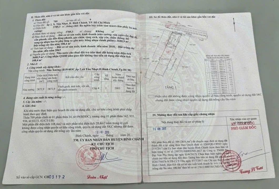 Mặt tiền Trần Đại Nghĩa Bình Chánh 4000m² - Đầu tư sinh lời khủng!