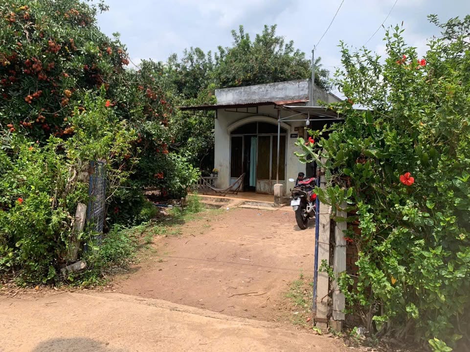 Bán Gấp Vườn Chôm Chôm 2350m² - Mặt Tiền Đường Nhựa Lớn Chơn Thành, Bình Phước