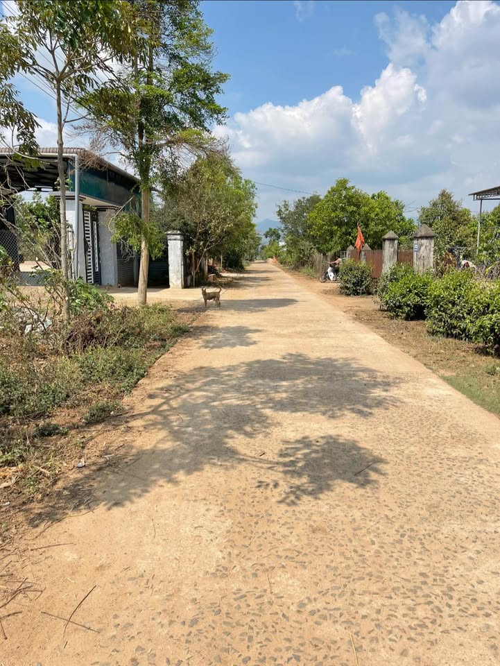 Đất nền Pleiku 165m² - Sổ đỏ thổ cư, giá chỉ từ 4xx triệu