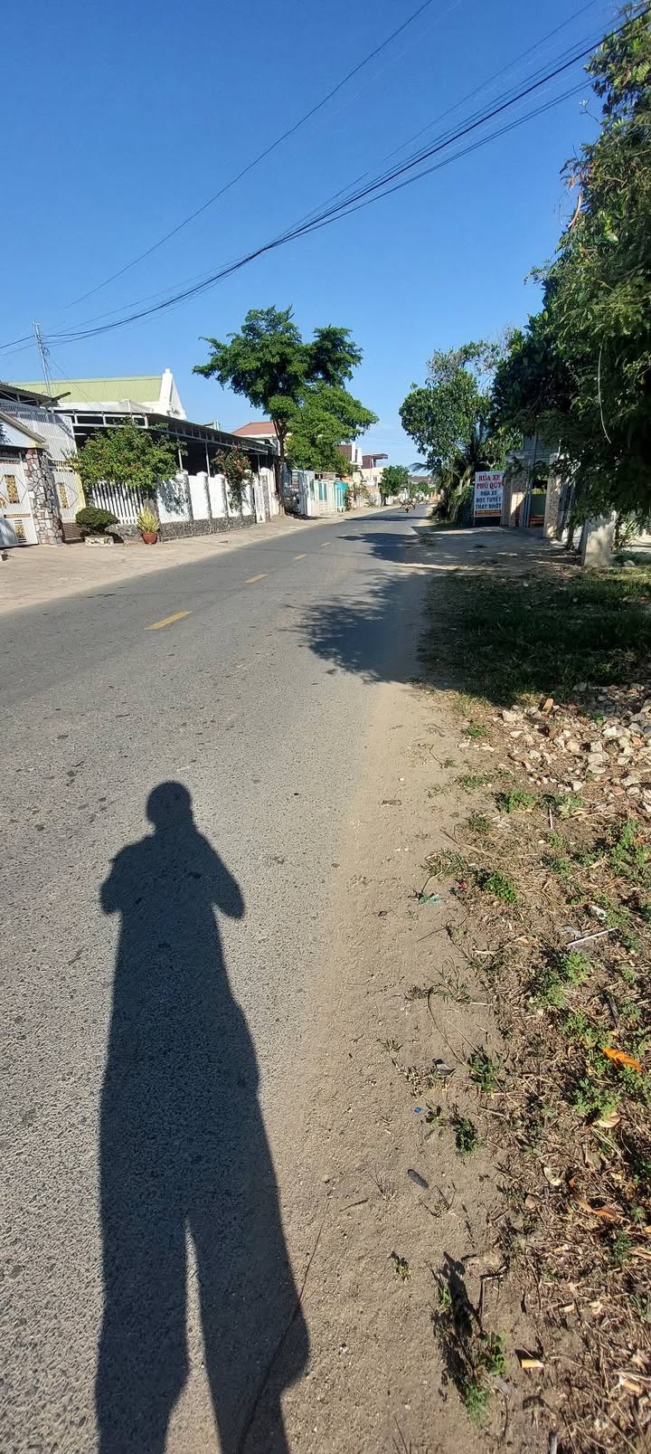 Đất nền Ninh Phước, Ninh Thuận 180m² - Tiềm năng tăng giá vượt trội!