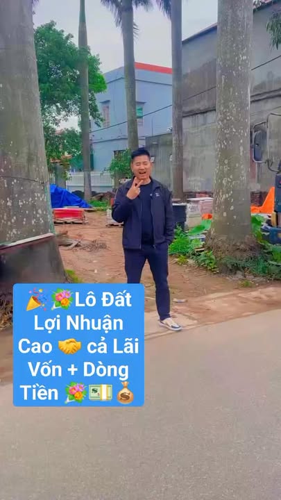 Đất Nền Trục Chính Song Quỳnh, Gia Bình, Bắc Ninh - 120m² Giá 4.8 Tỷ