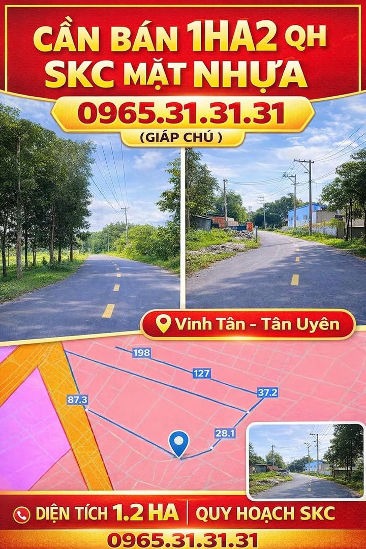 Đất nền Xã Tân Mỹ, Bắc Tân Uyên 1.2ha - Mặt tiền đường lớn ô tô!