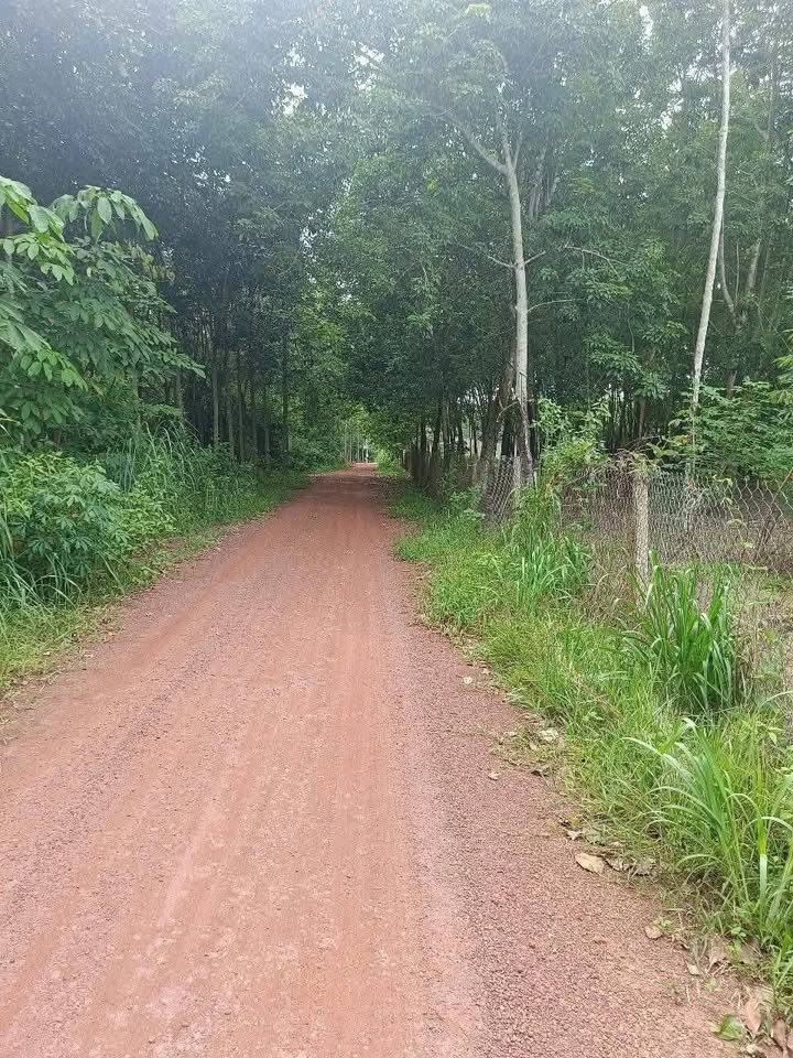 Đất nền Phước Thành, TP Bà Rịa 1200m² giá 700 triệu - Hạ tầng hoàn thiện!