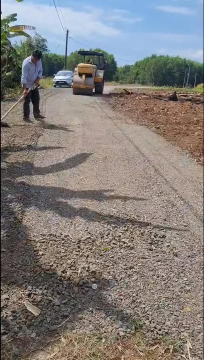 Bán Đất 1500m² Mặt Tiền Đường Nhựa Bình Chánh - Giá 1.4 Tỷ Có TL