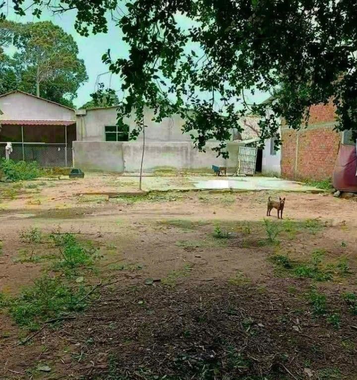 Đất nền Hòa Lợi, Châu Thành 310m² - Tiềm năng tăng giá!