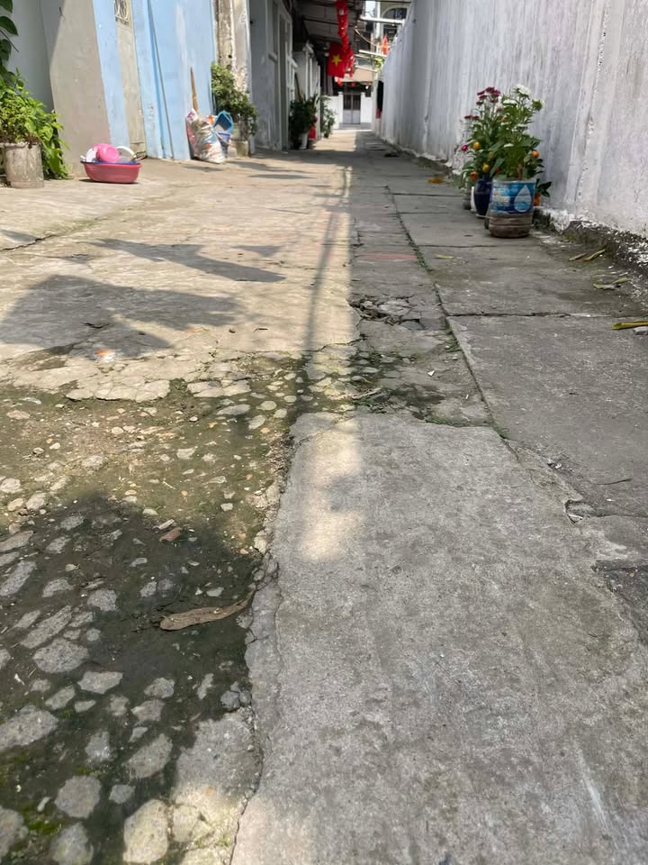 Bán Gấp Đất Tặng Nhà 2 Tầng 56m² Phù Đổng, Long Biên - Giá 4.2 Tỷ