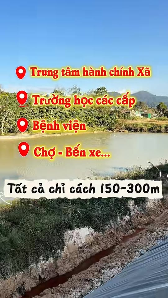 Đất nền trung tâm Xã Phi Liêng 4500m² - Tiềm năng tăng giá vượt trội!