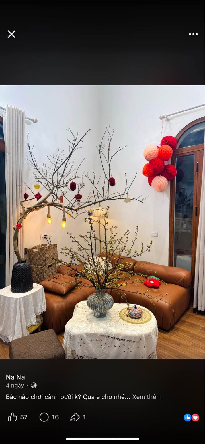 Nhà 60m² Phường 3 Đà Lạt - 4PN, Sổ Xây Dựng, Giá 3.9 Tỷ