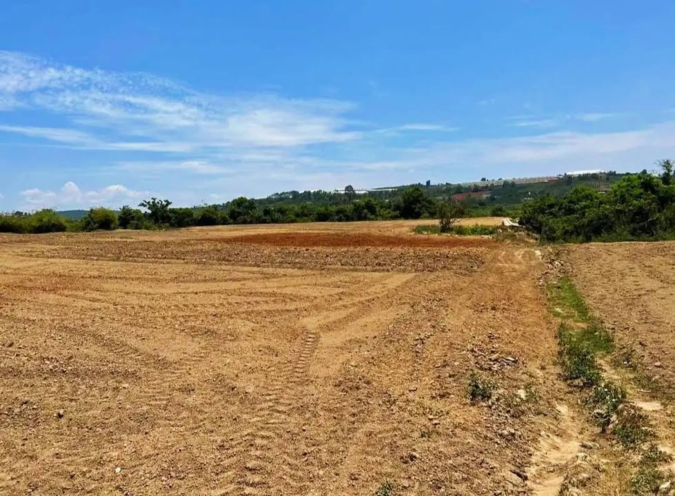 Đất nông nghiệp Tà Hine, Đức Trọng 12.000m² - Tiềm năng tăng giá!