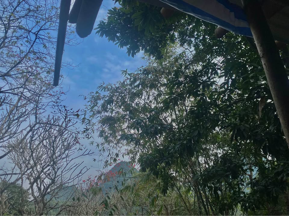 Đất nền Phủ Lý 100m² - Sổ đỏ chính chủ, vuông vắn đẹp!