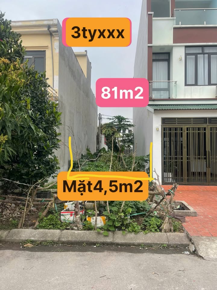 Đất nền KĐT Hoà Mạc 81m² - Tiềm năng tăng giá vượt trội!