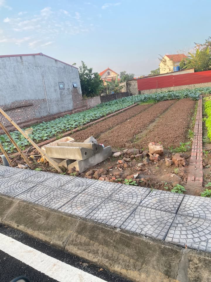 Đất nền Đông Tảo, Mỹ Hào 70.5m² - Sổ đỏ chính chủ