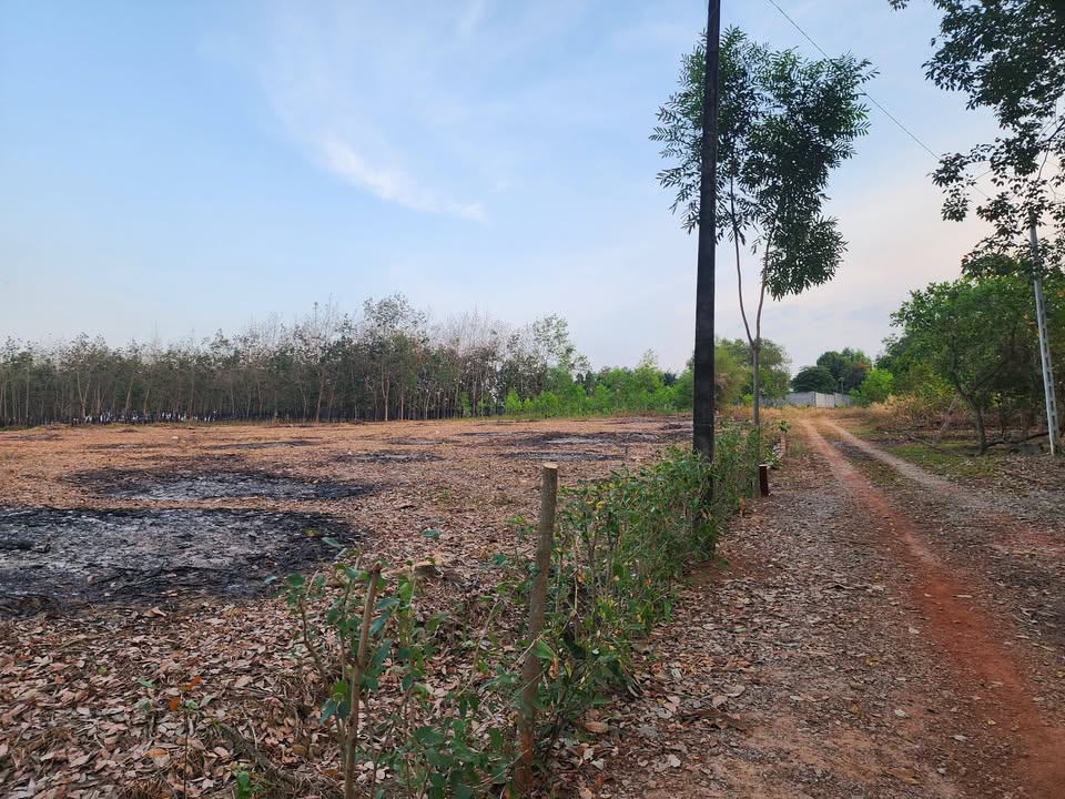 Bán đất sào 6500m² Phường Tân Phú, Đồng Xoài - Giá 2.55 Tỷ Đầu Tư Hời