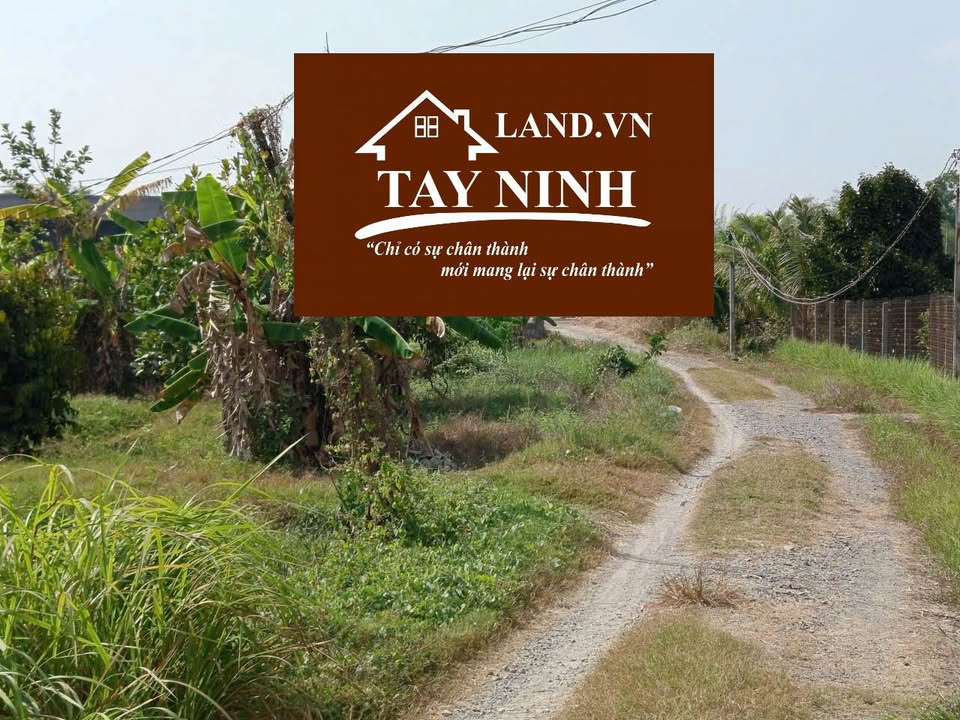 Đất nền Long Hoa, Tây Ninh 170m² - Đường to ô tô, xây dựng tự do!