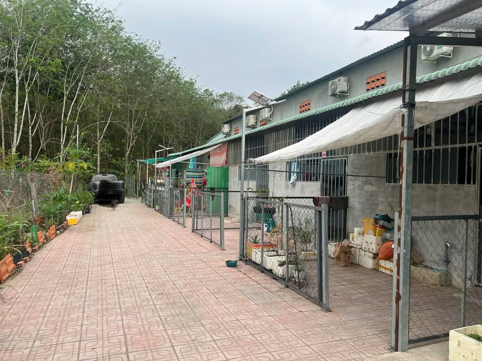 Phòng Trọ An Tây, Bến Cát 2 Triệu/Tháng - Giá Tốt Hiếm Có!