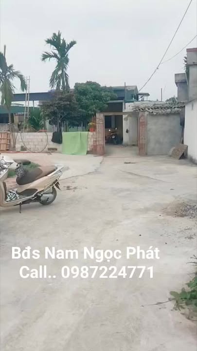 Đất Thổ Cư 100m² Sổ Đỏ Quỳnh Phụ, Thái Bình - Giá 8xx Triệu