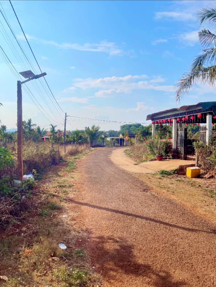 Đất nền Chư Ty 208m² - Sổ đỏ chính chủ, giá tốt hiếm có!