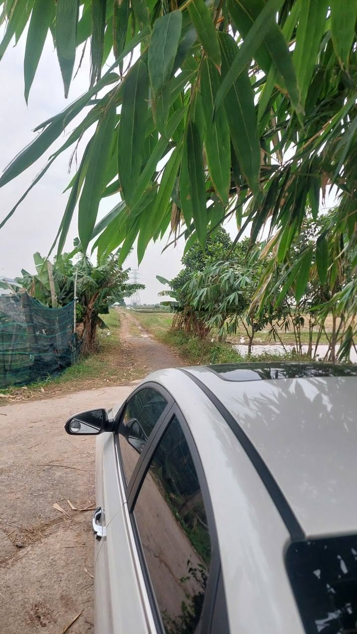 Đất nền Nam Định 240m² - Đường ô tô, Xây dựng tự do!