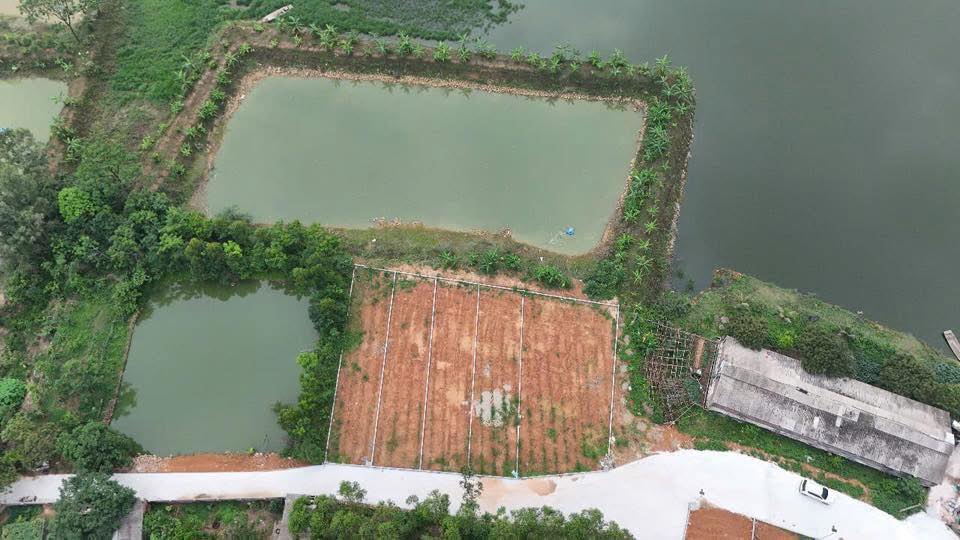 Đất nền Thôn Quỳnh, Quỳnh Sơn 180m² giá 800 triệu - Sổ đỏ chính chủ!