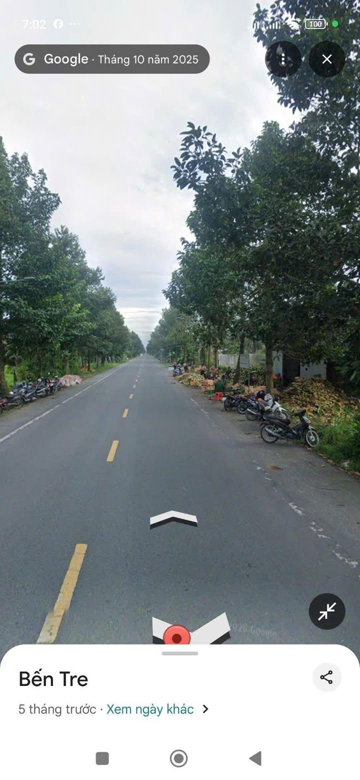 Đất Vườn Giồng Trôm 8200m² – Mặt tiền container, tiềm năng lớn!